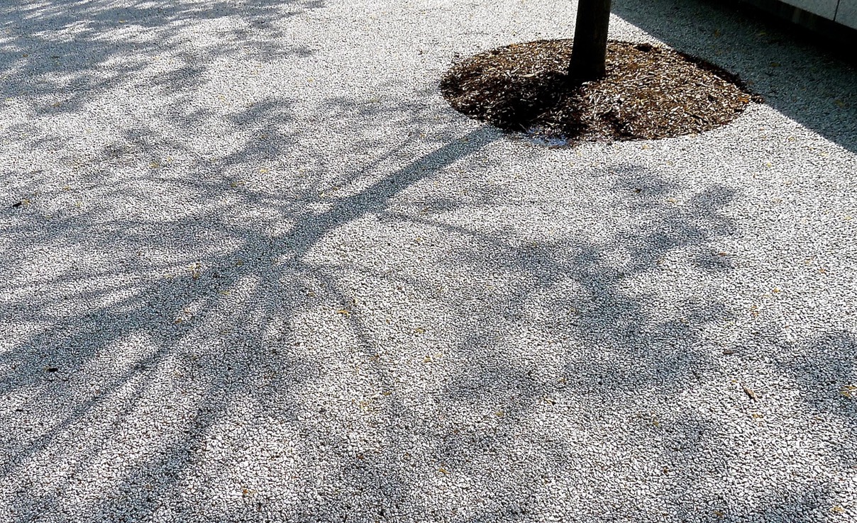 TreeShadow